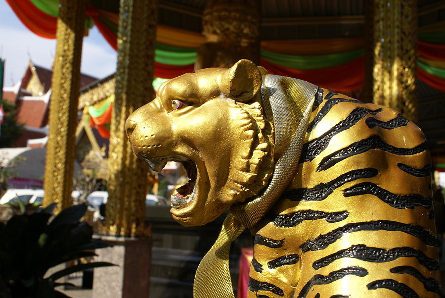 Buddha Photograph - Year of the Tiger by Gregory Smith