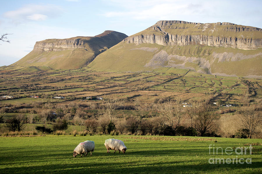 Mountain Photograph - Yeats country County Sligo by Ros Drinkwater