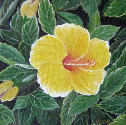 Yello hibiscus Painting by Usha Rai - Fine Art America