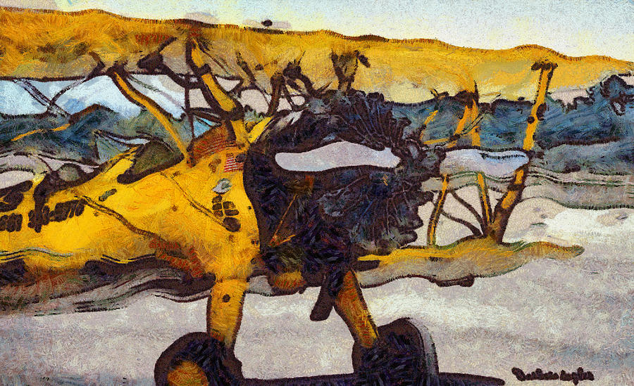 Airplane Digital Art - Yellow 1943 Boeing Super Stearman by Barbara Snyder
