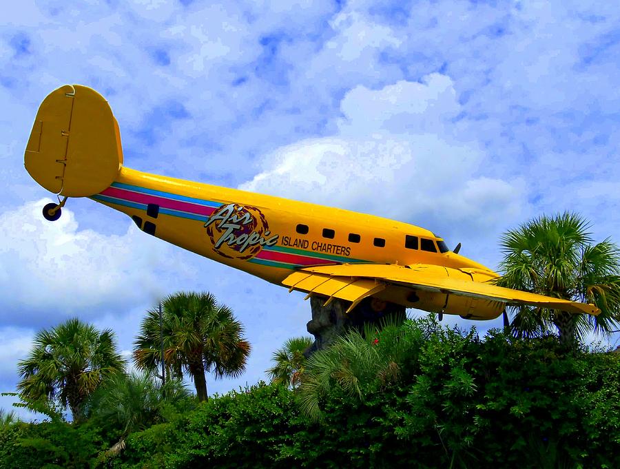 Yellow Airplane Photograph by Ron Kandt