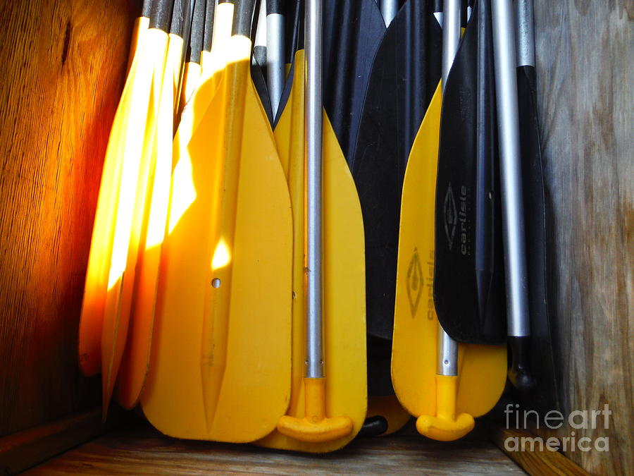 Yellow And Black Paddles Photograph by Paddy Shaffer