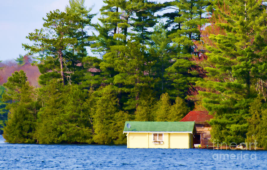 Tree Photograph - Yellow and green boathouse by Les Palenik