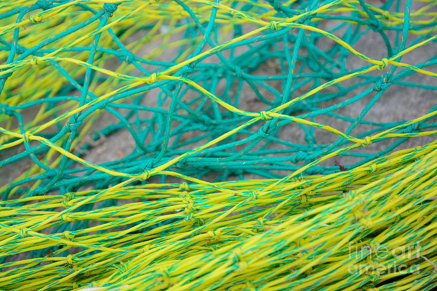 Yellow and green nylon nets Photograph by Ingela Christina Rahm
