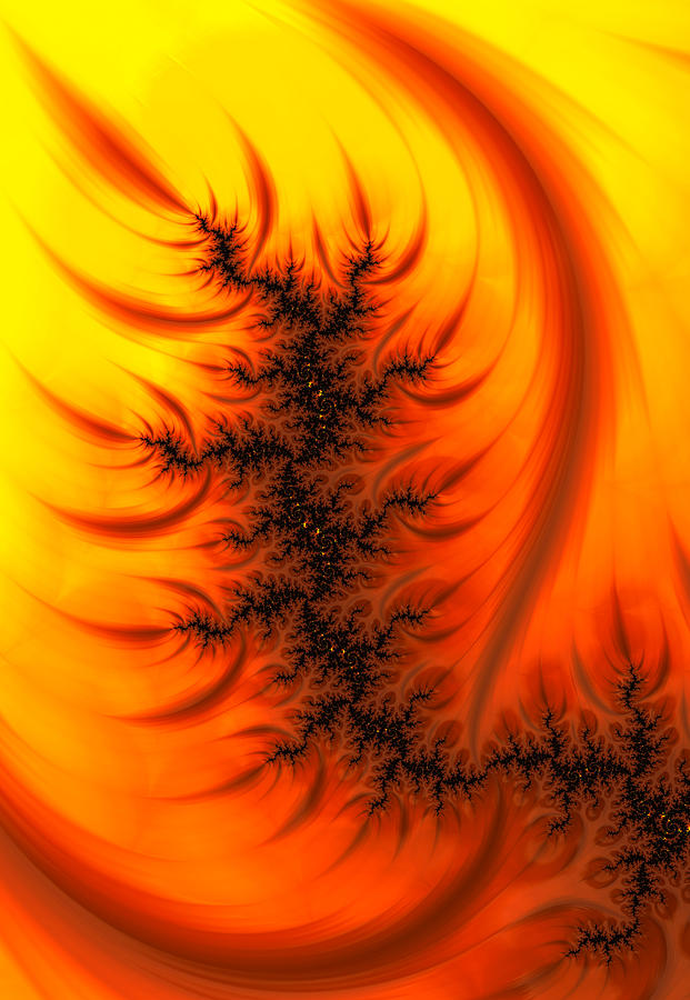 Yellow and orange fractal fire Digital Art by Matthias Hauser