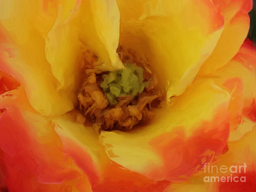 Yellow and Orange Rose Painting by Jacklyn Duryea Fraizer