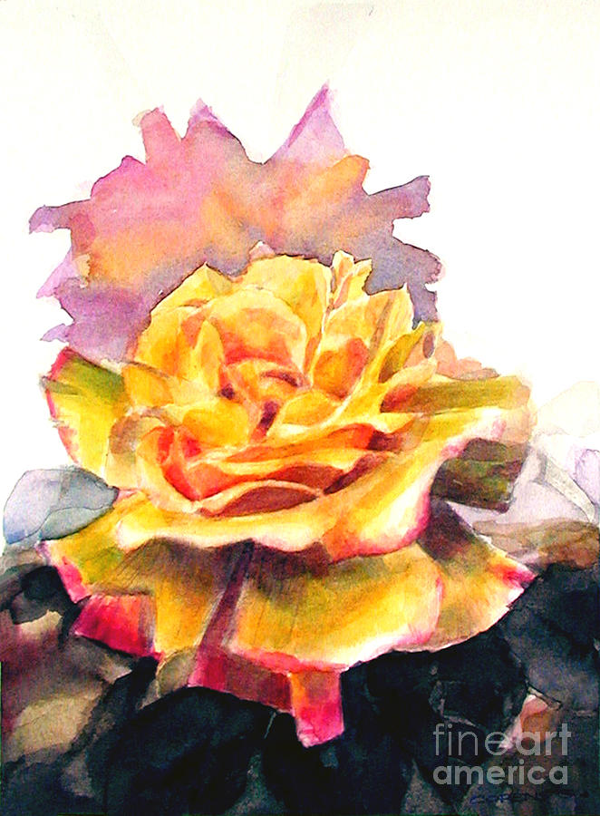 Watercolor of a Yellow Rose Fringed in Red Painting by Greta Corens