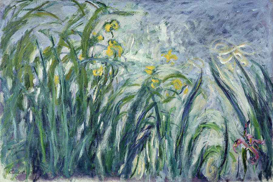 Claude Monet Painting - Yellow And Purple Irises, 1924-25 by Claude Monet