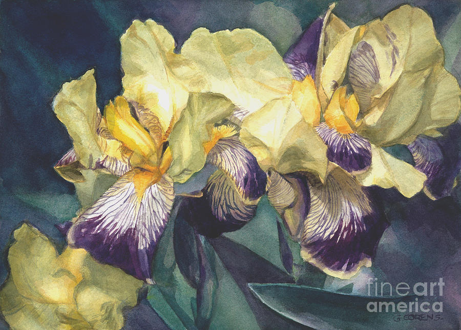 Watercolor of an Iris painted in yellow with purple veins Painting by Greta Corens