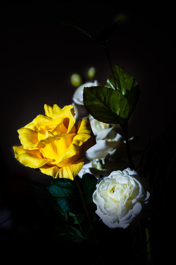 Yellow and White Photograph by Cecil Fuselier