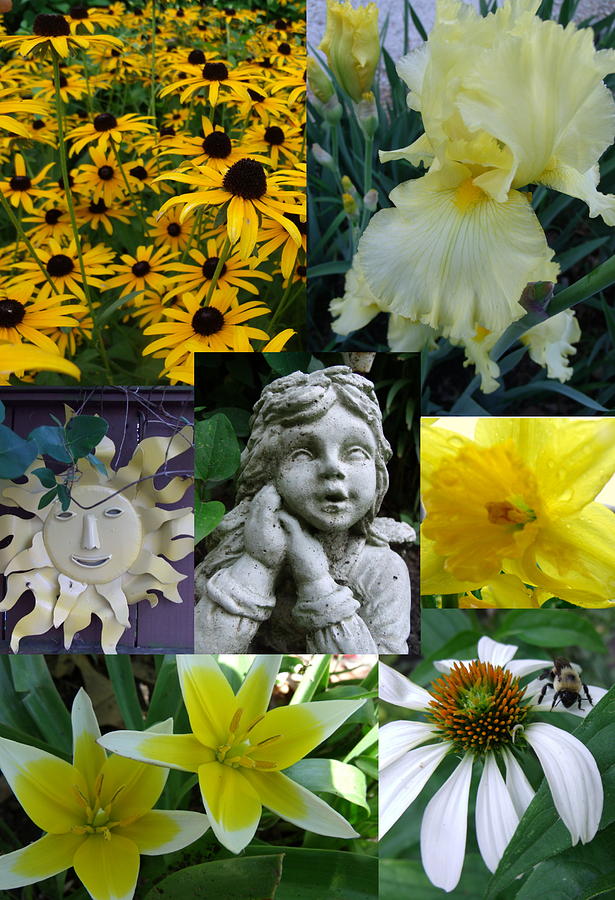 Yellow and white flower collage Photograph by Erin Rednour - Fine Art ...