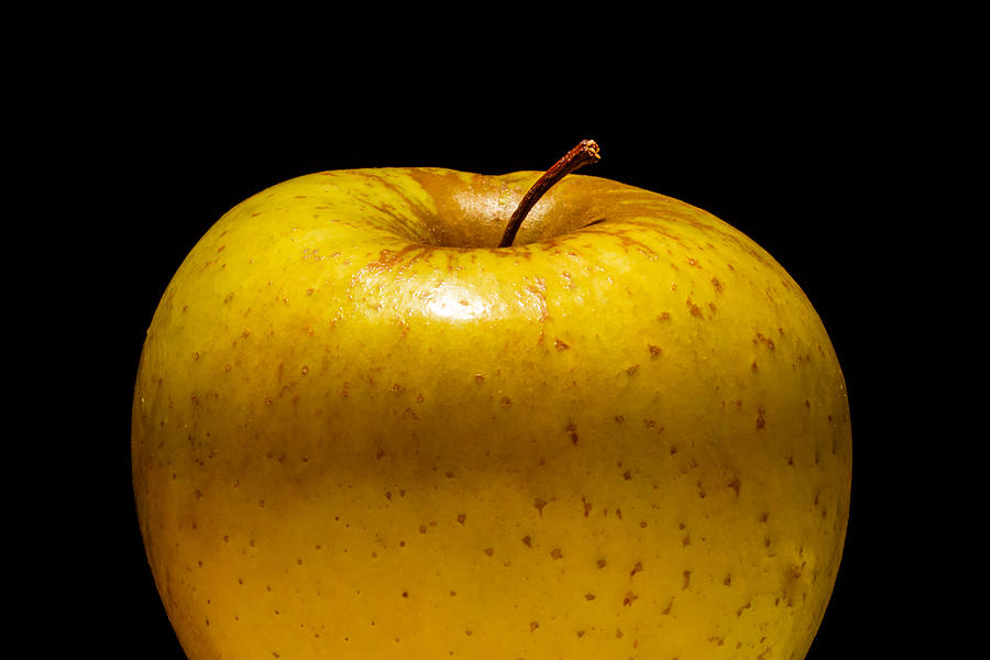 Yellow Apple Photograph by Steve Stephenson