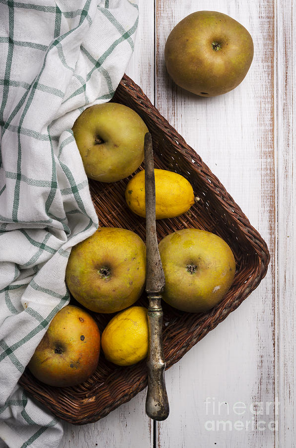 Nature Photograph - Yellow Apples by Jelena Jovanovic