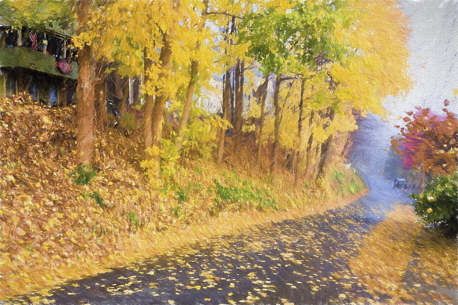 Yellow Autumn Street Photograph by Tom Singleton
