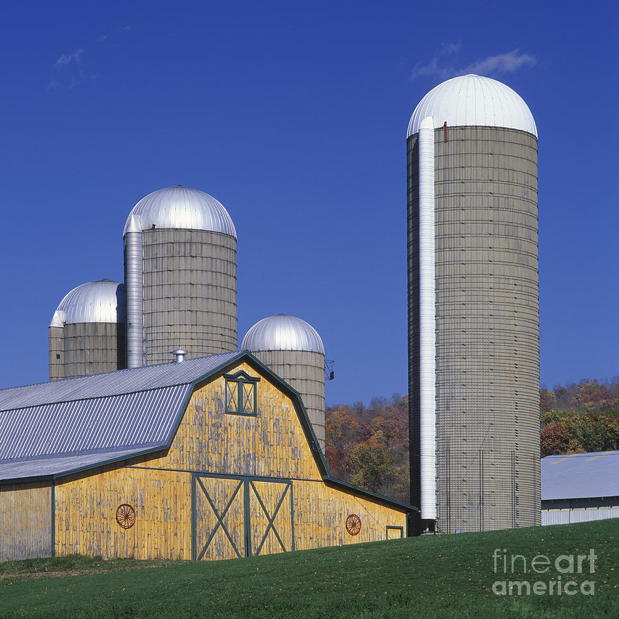 Yellow Barn and Silos - FM000084 Photograph by Daniel Dempster
