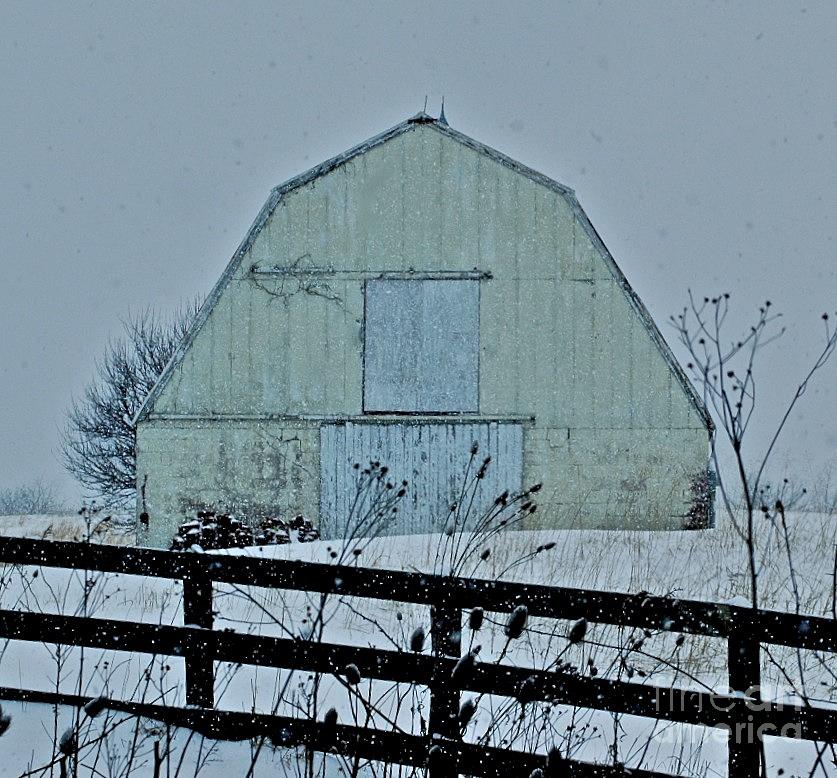 Barn Photograph - Yellow Barn by Tracy Rice Frame Of Mind
