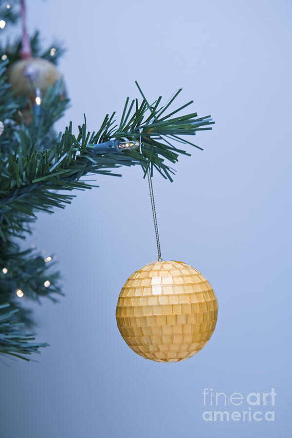 Yellow Bauble Photograph by Diane Macdonald