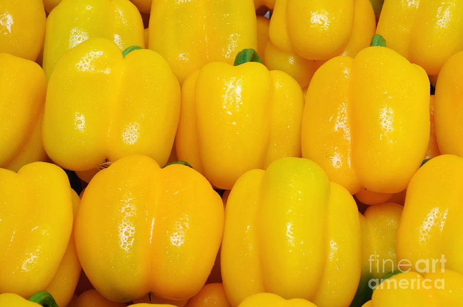 Yellow Bell Peppers - Vegetable - Gardener - Farmer Photograph by Andee Design
