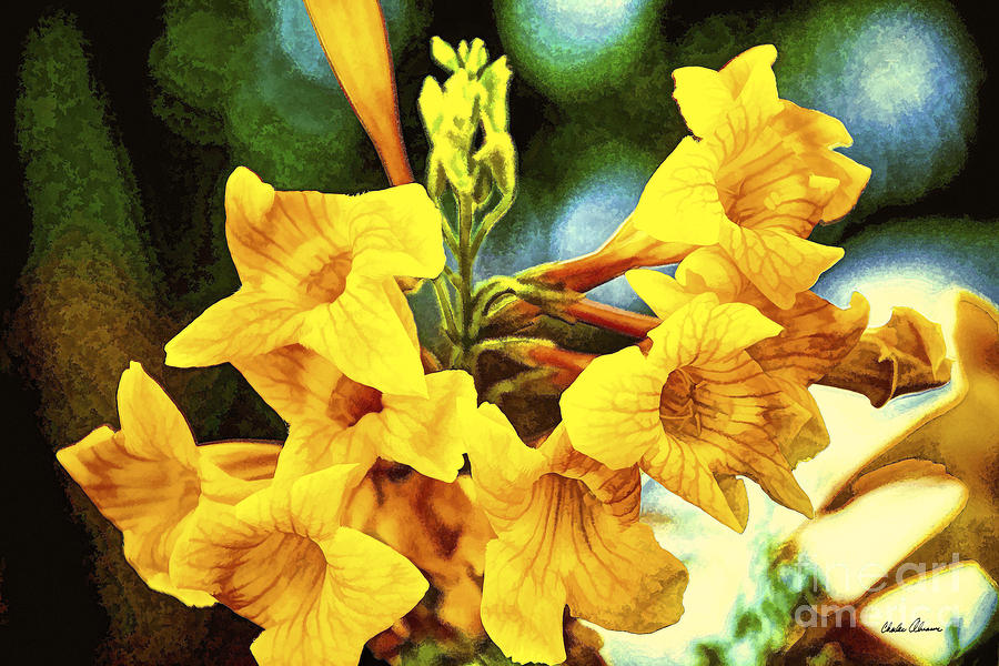 Yellow Bells Photo Painting Photograph by Charles Abrams