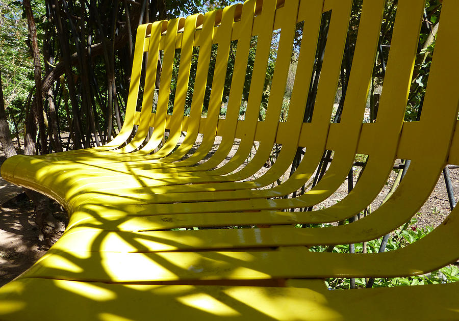 Yellow Bench Photograph by Claudia Goodell