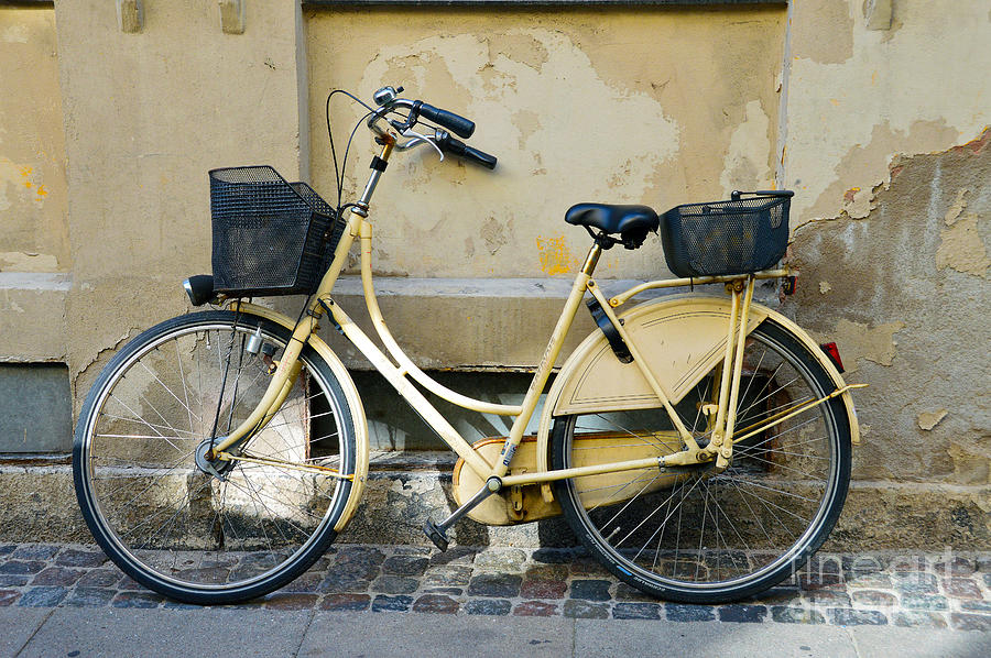 Bicycle Photograph - Yellow Bicycle in Copenhagen by Catherine Sherman