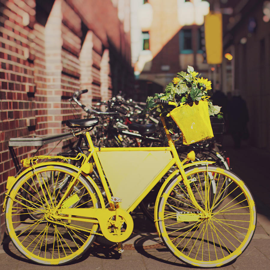 Yellow Bike Photograph by Julia Davila-lampe