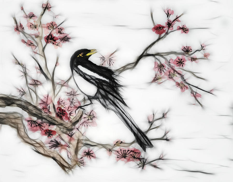 Bird Digital Art - Yellow-billed Magpie and Plum blossoms by Daniel Lee Brown
