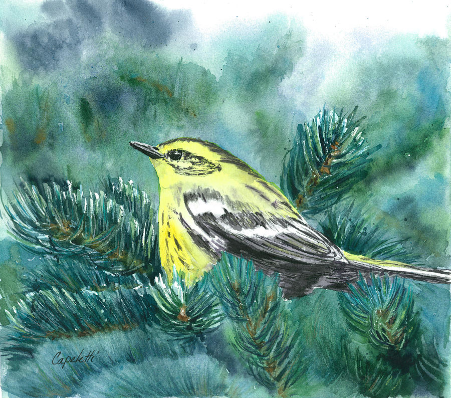 Wren Painting - Yellow Bird in Fir Tree by Barb Capeletti