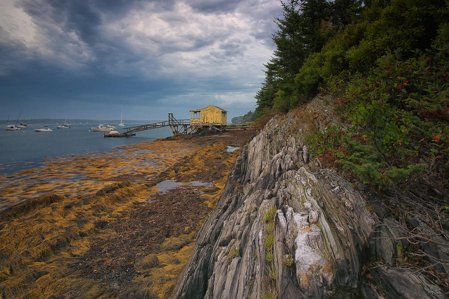Yellow Boat House Photograph by Darylann Leonard Photography