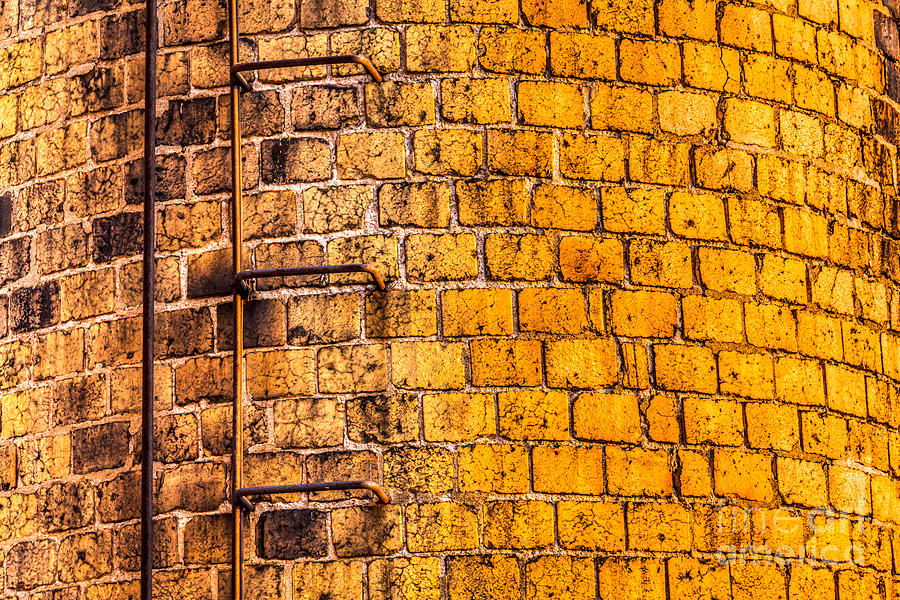 Yellow Brick Photograph by Susan Cole Kelly