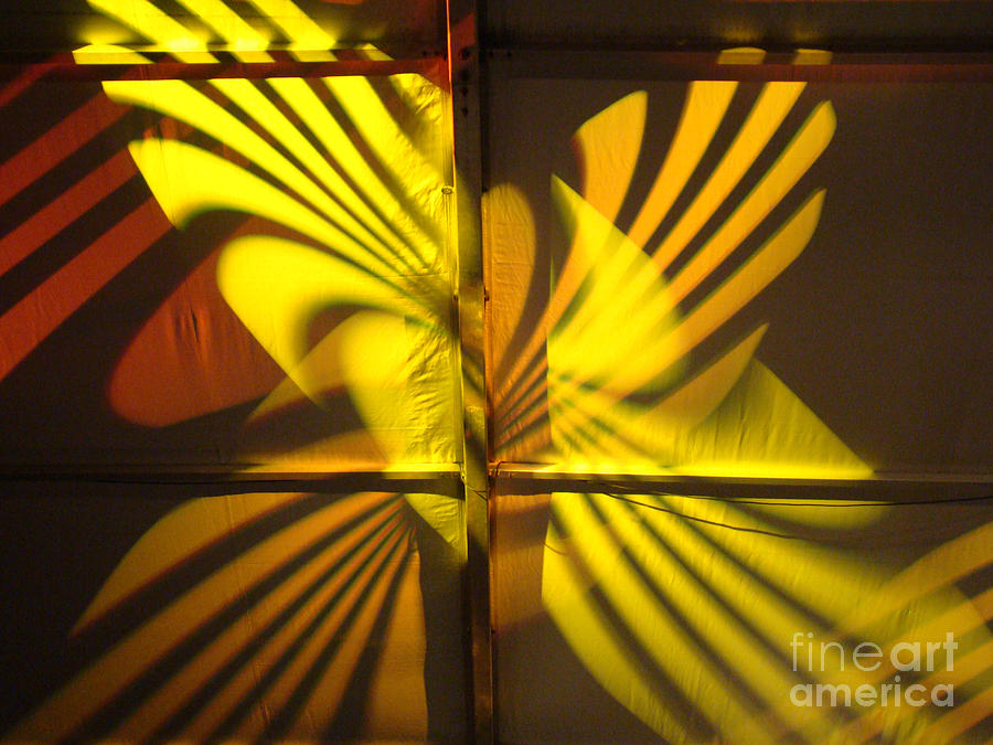 Abstract Photograph - Yellow Butterfly by Eva Kato