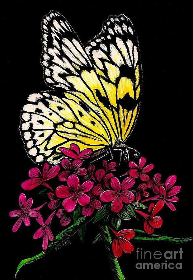Butterfly Digital Art - Yellow Butterfly by Jennifer Jeffris