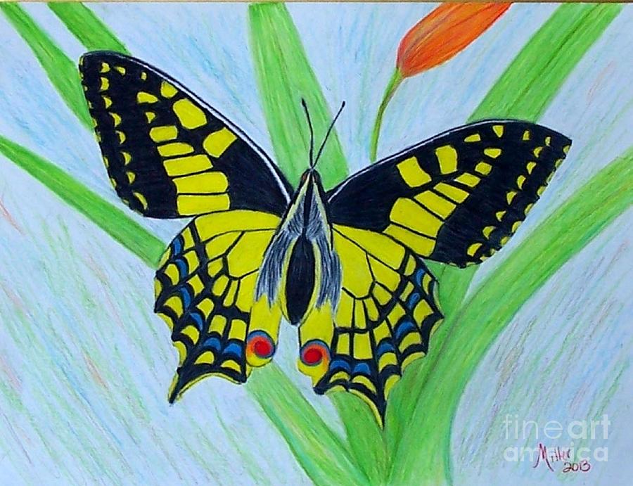 Yellow Butterfly Drawing by Peggy Miller