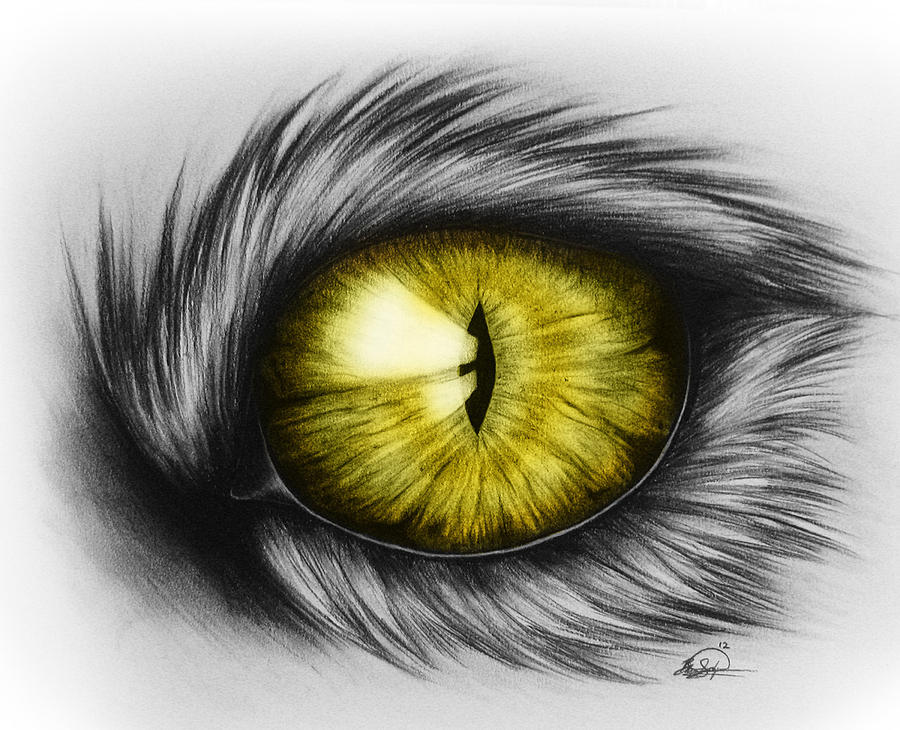 Yellow Cat Eye Drawing Drawing