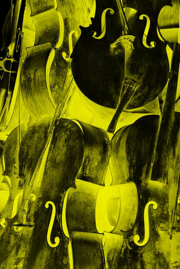 Yellow Cellos Photograph by Rob Hans