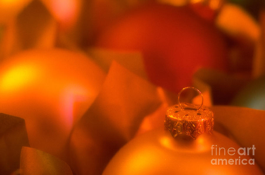 Yellow Christmas Balls In Tissue Paper Photograph by Jim Corwin