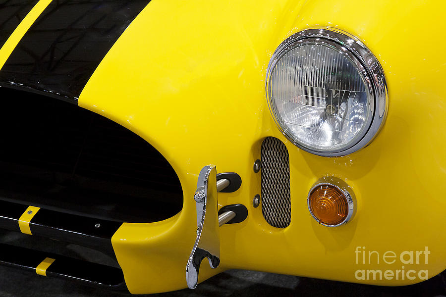 Yellow Cobra Photograph by Dennis Hedberg