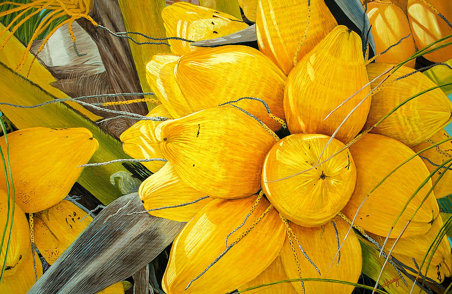Nature Painting - yellow Coconut Original Oil Painting 36x24x1 inch on canvas by Manuel Lopez
