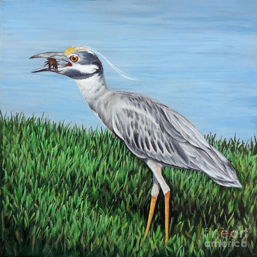 Yellow Crowned Night Heron Painting by Jimmie Bartlett