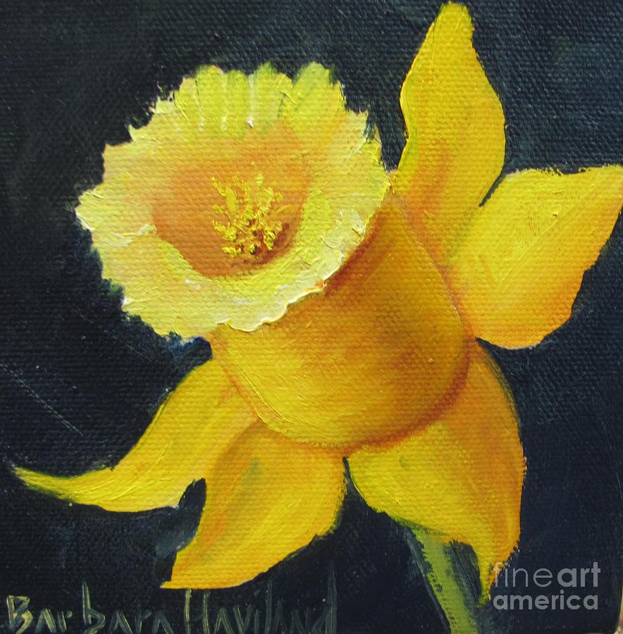 Yellow Daffodil on Navy Painting by Barbara Haviland