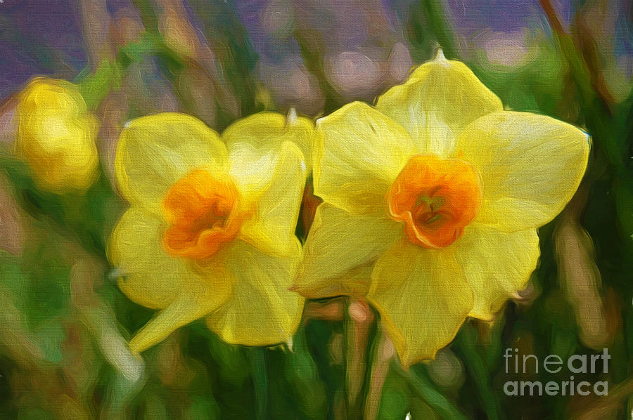 Yellow Daffodil Painting Photograph by Andee Design