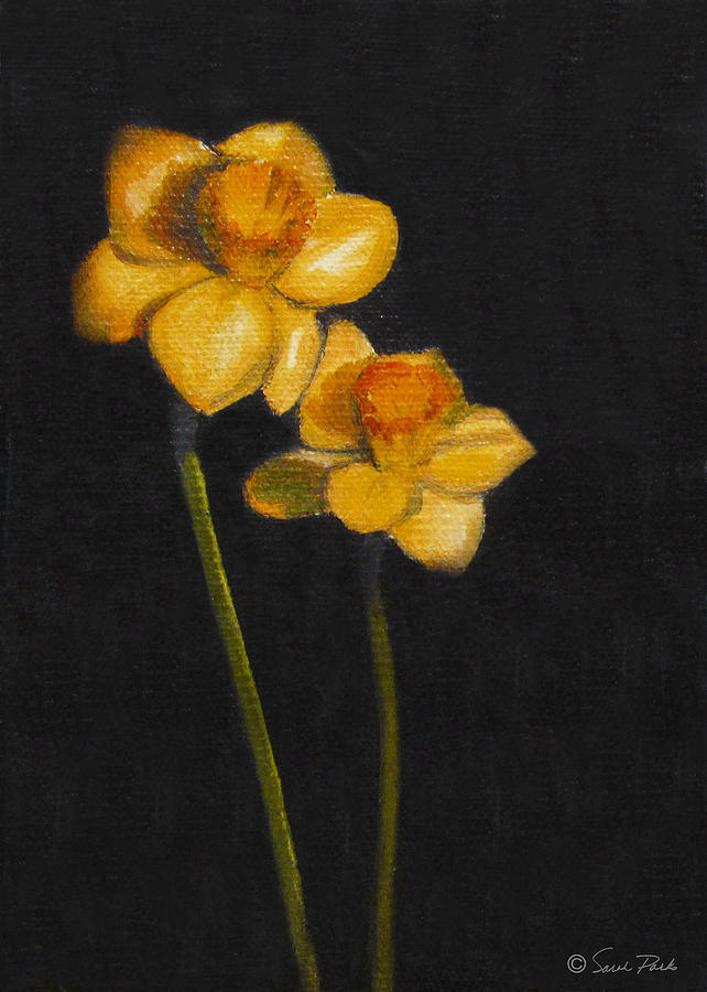Yellow Daffodils Painting by Sarah Parks