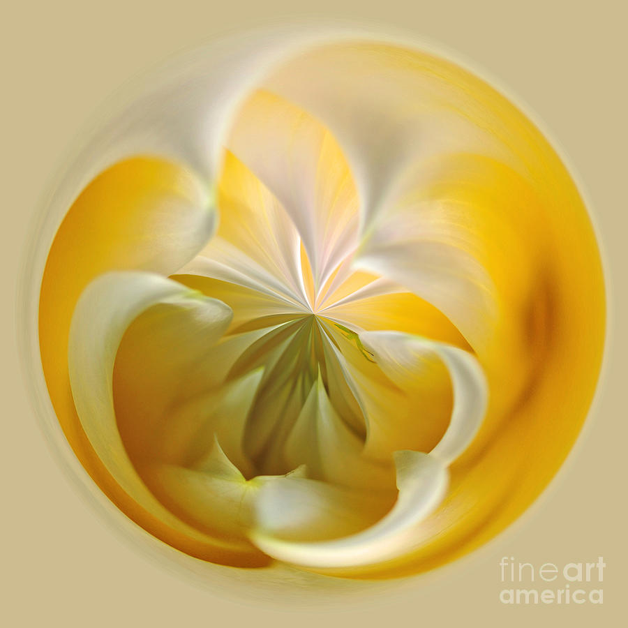 Ball Photograph - Yellow Dahlia Orb by Kaye Menner