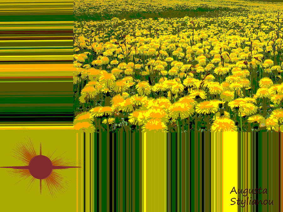 Yellow Daisies Digital Art by Augusta Stylianou