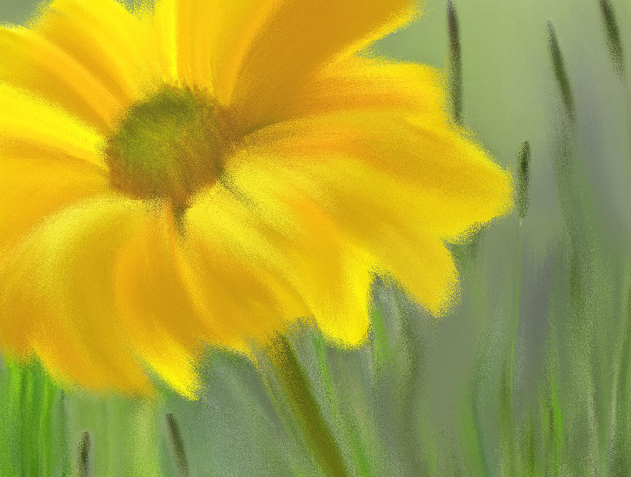 Yellow Daisy-2 Digital Art by Nina Bradica