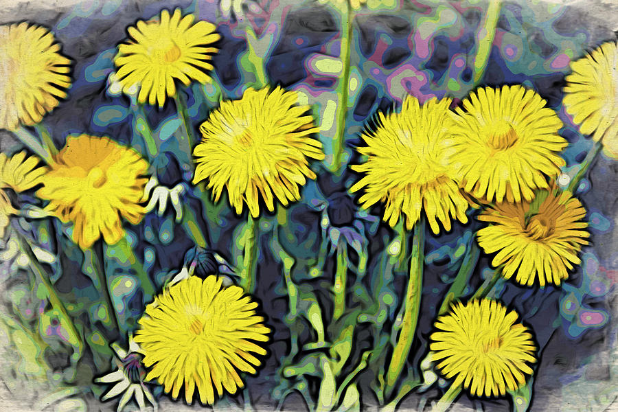 Yellow Dandelions Photograph by Alice Gipson