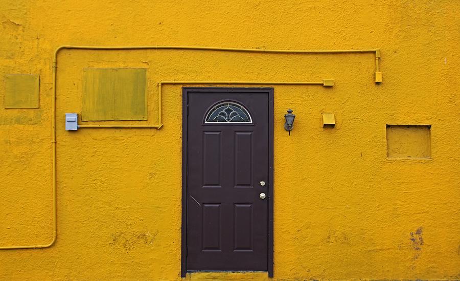 Yellow Photograph by Dart Humeston