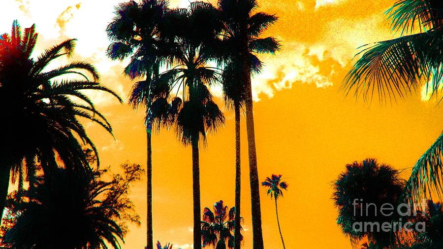 Yellow Day Palm Palace Photograph by Keri West