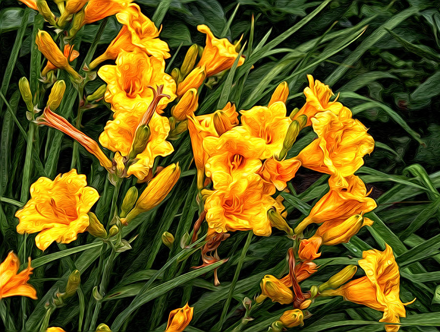Yellow Daylilies Photograph by Lena Auxier