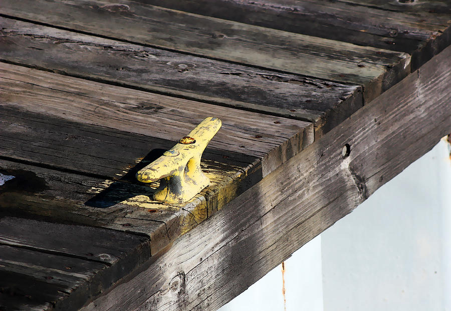 Yellow Dock Cleat Photograph by Mary Bedy